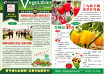 正新农业有机生态蔬菜种植期刊