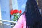 女孩与玫瑰