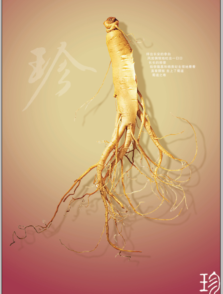 人參