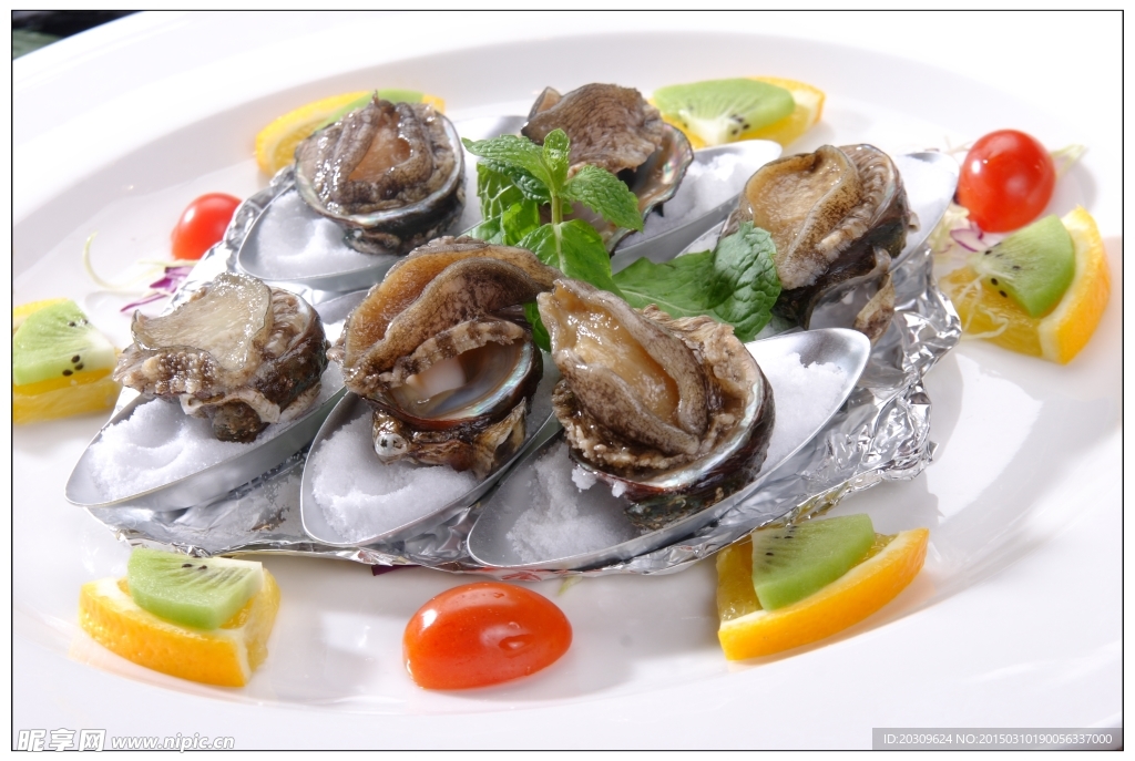 活鮑魚