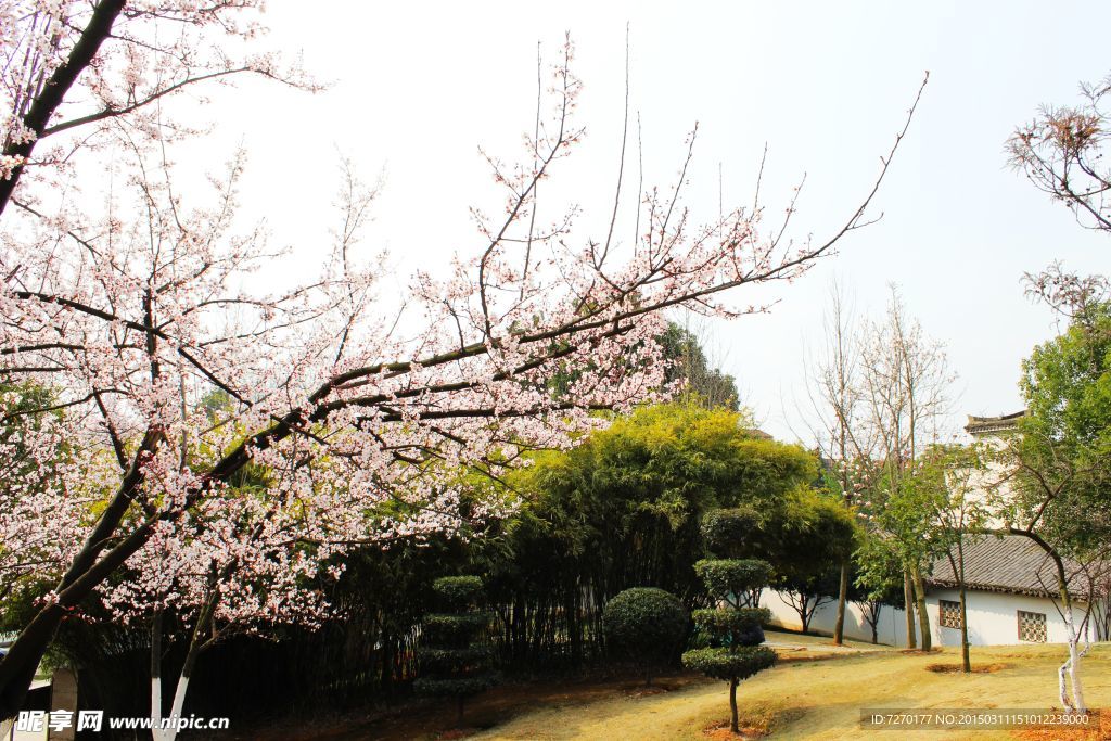 義烏孝子祠公園