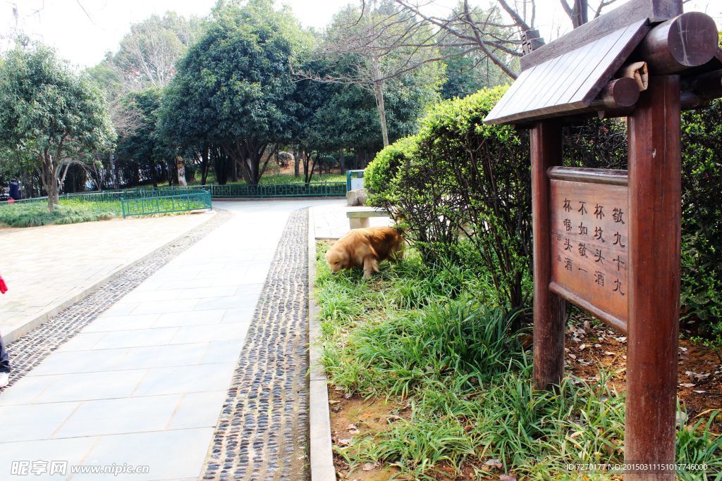 義烏孝子祠公園