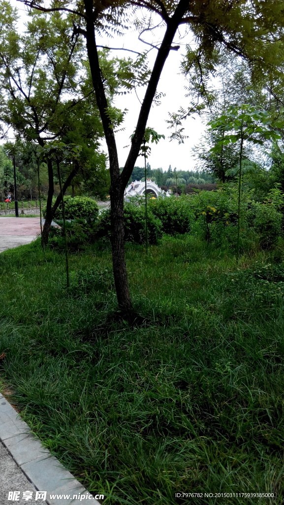 游園