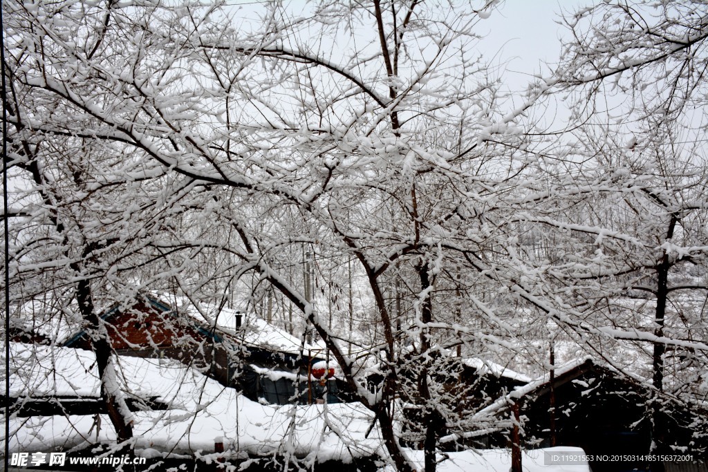 雪景