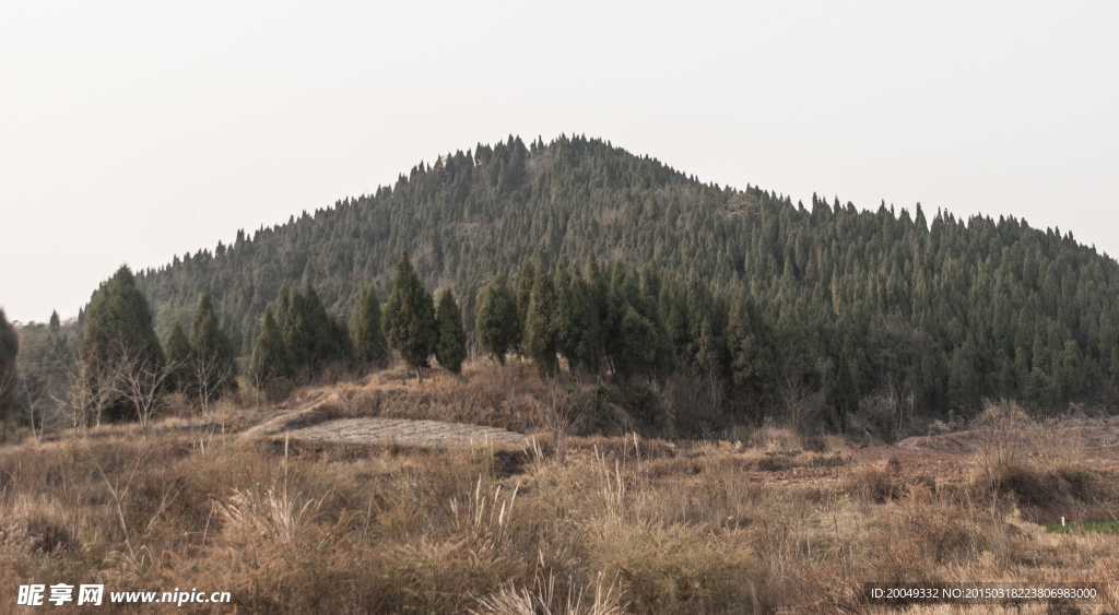 山村攝影