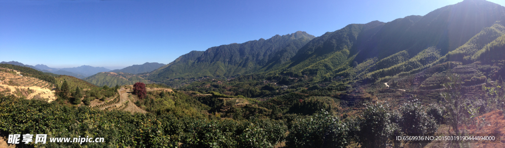 農(nóng)村 鄉(xiāng)下 茶山 風(fēng)景