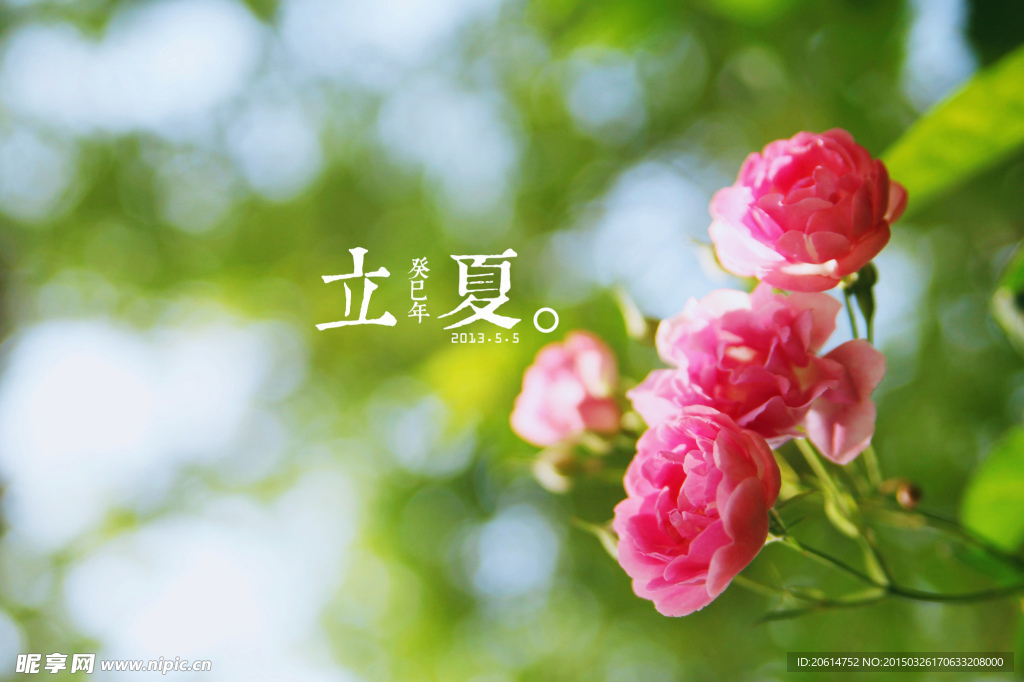 立夏