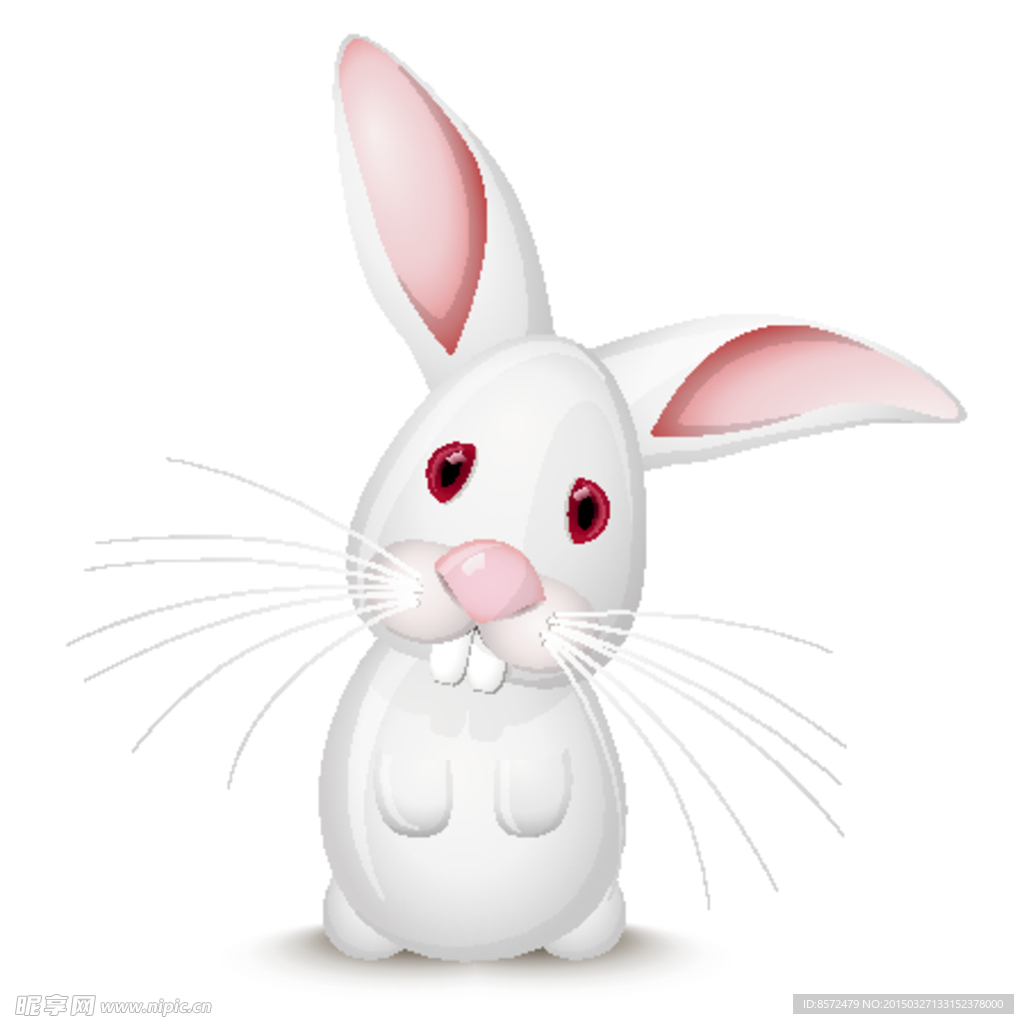 白色大耳兔