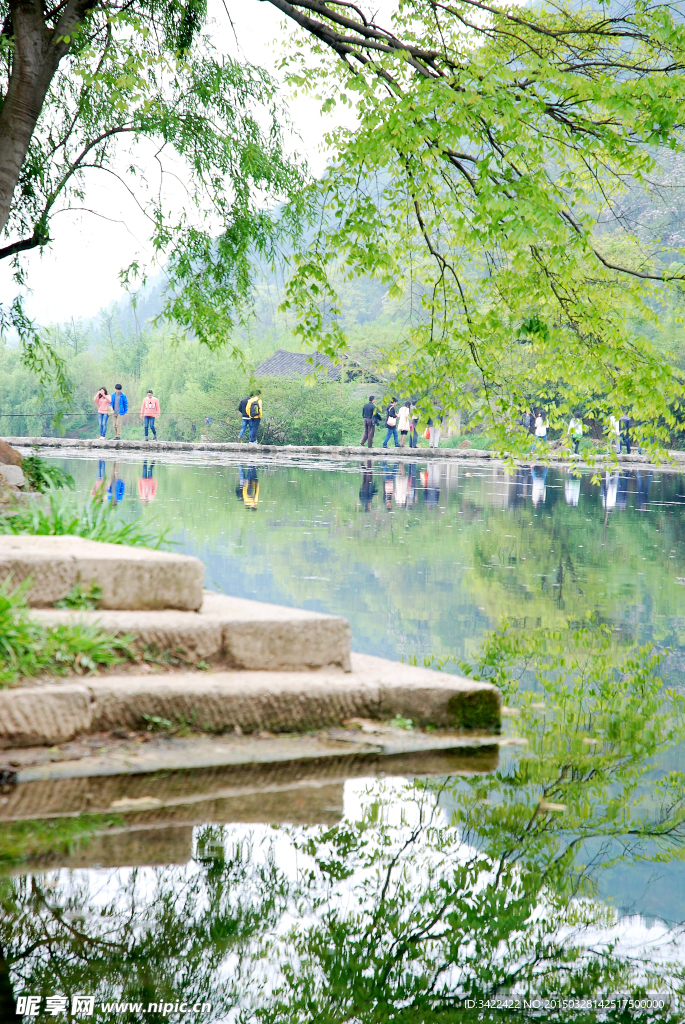 湖邊的風景