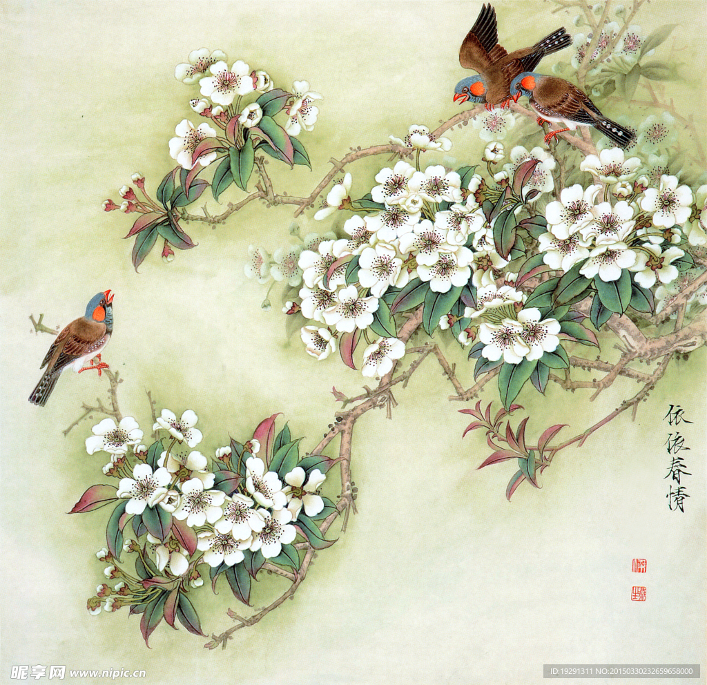 國畫花鳥