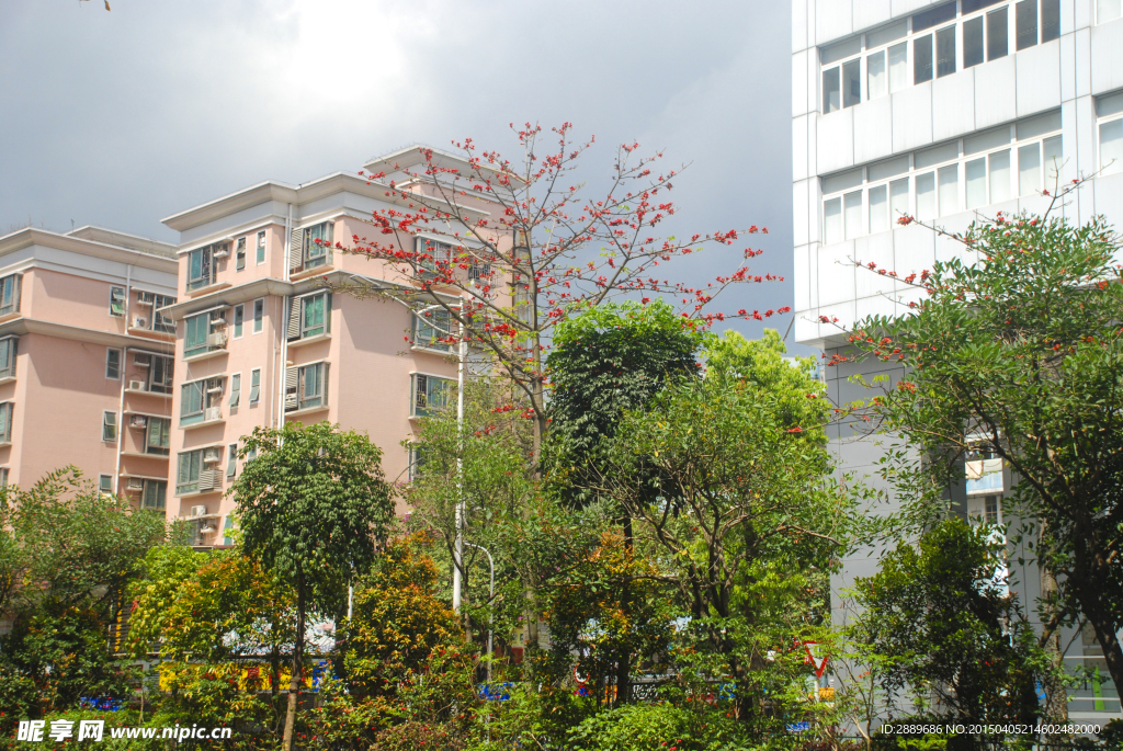 深圳街景