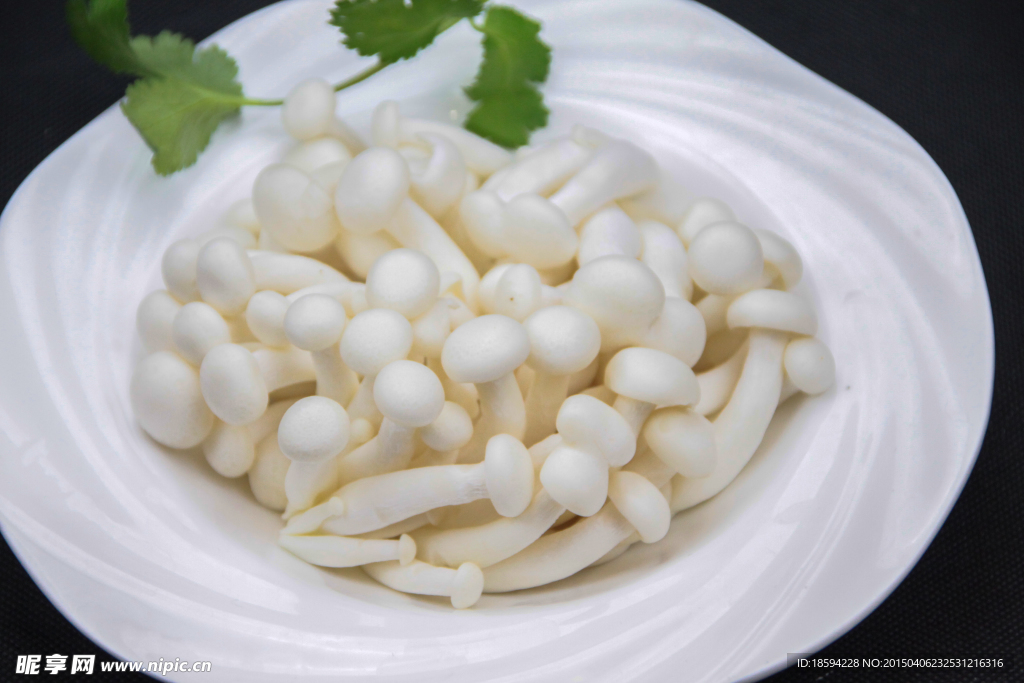 白玉菇