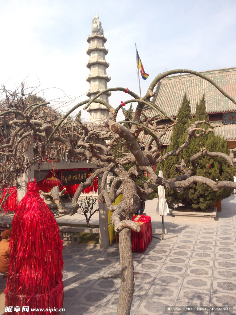 相國寺一角