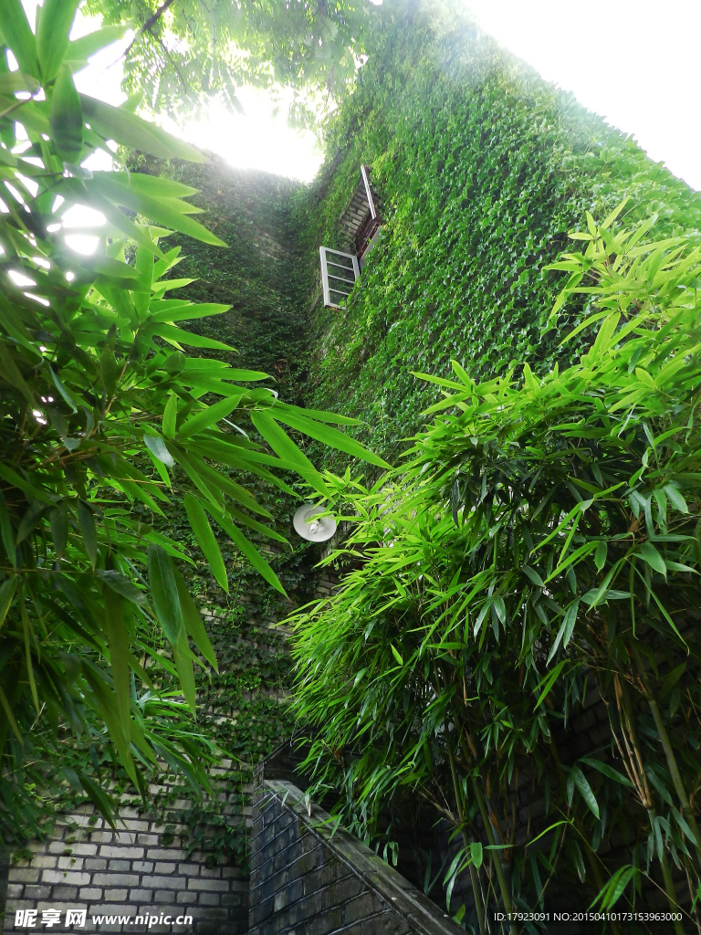 綠意盎然
