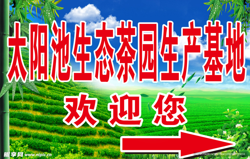 太陽池生態茶園生產基地