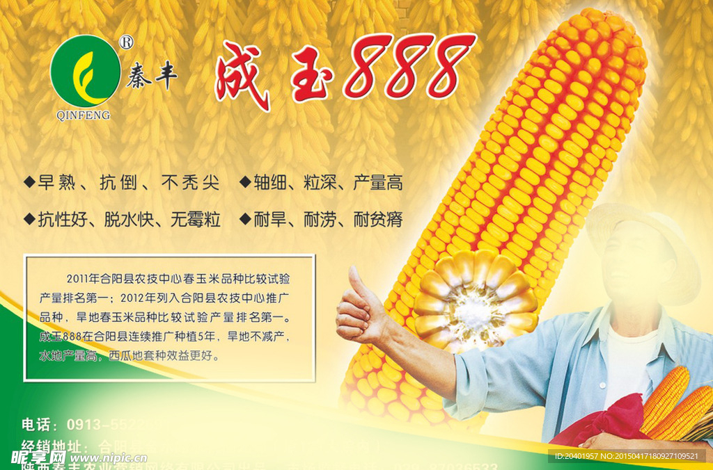 秦丰成玉888玉米种子