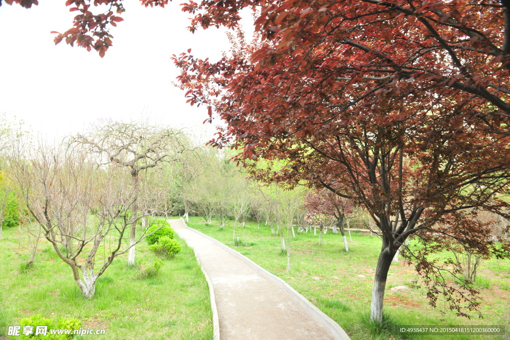 公園風景