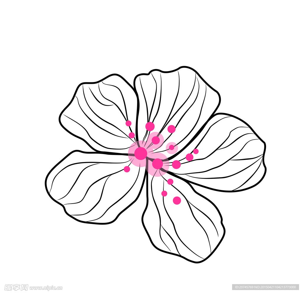 線(xiàn)條花