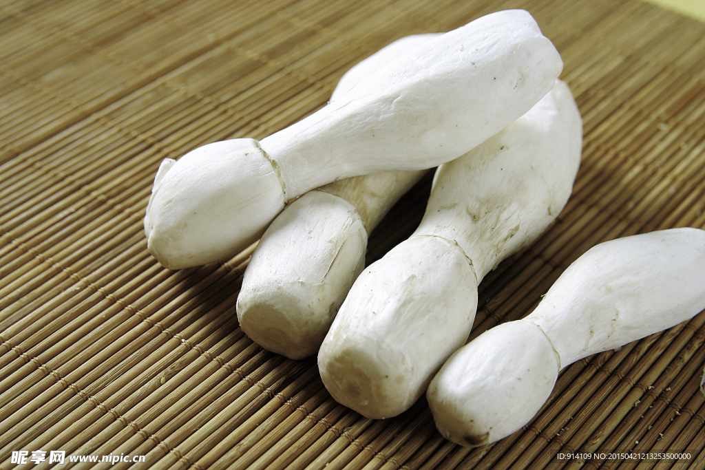 蘑菇 大蘑菇