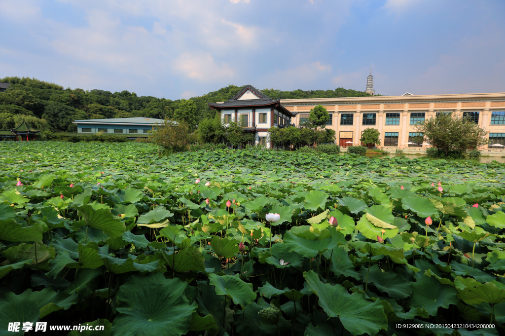 東方文化園