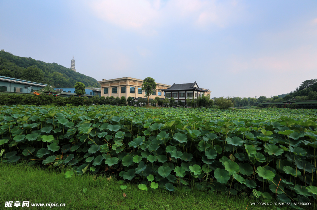 東方文化園