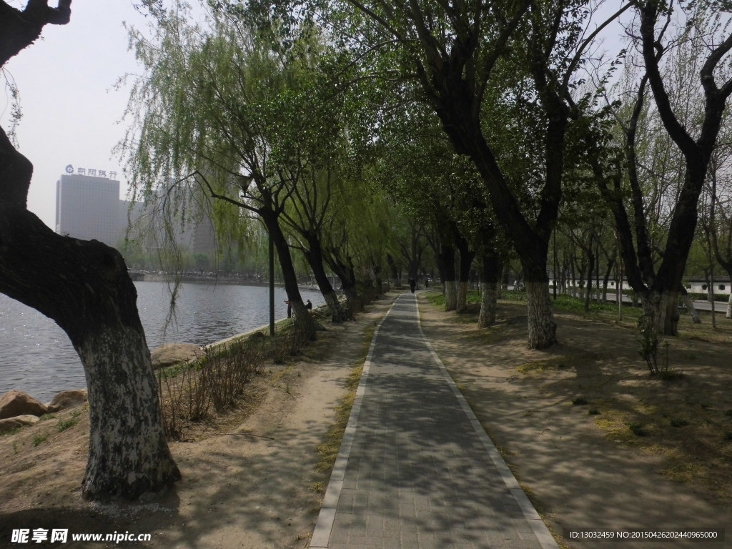 湖邊小路