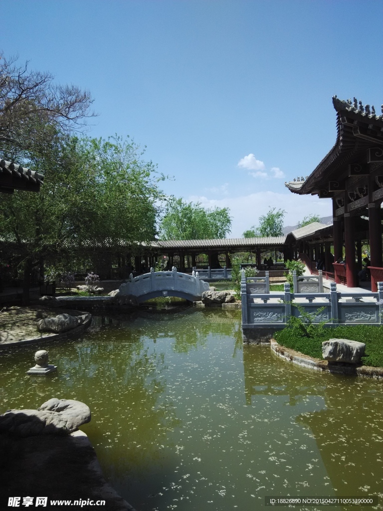 背景
