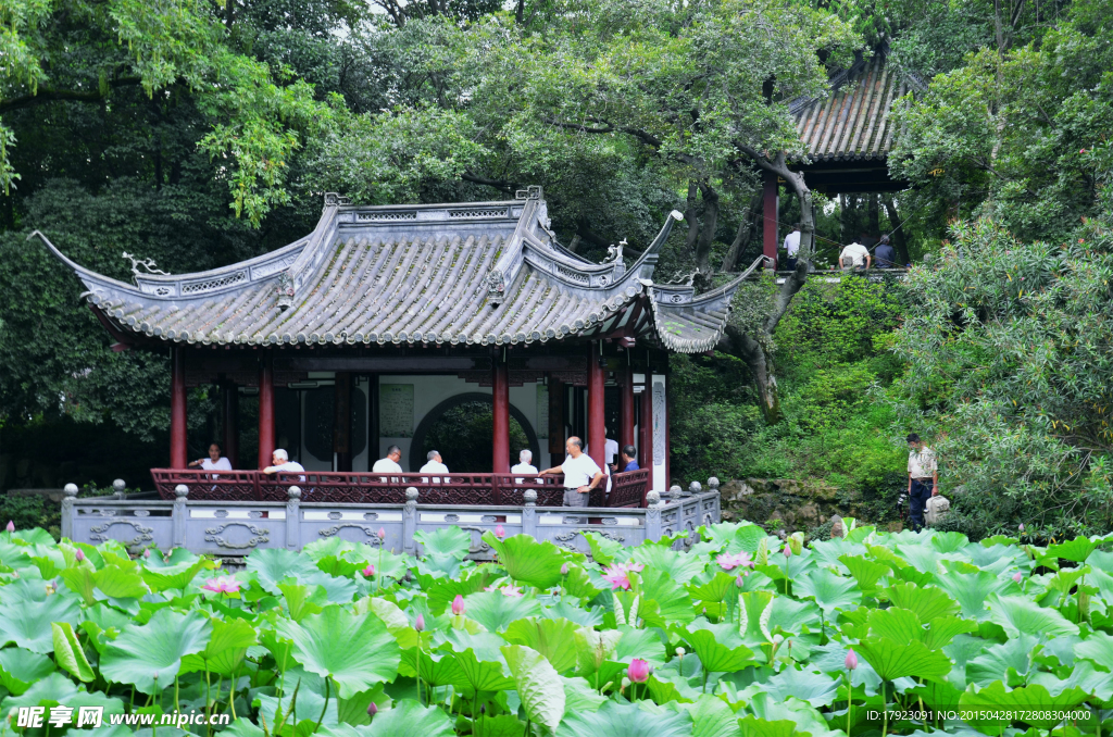 上海古猗园