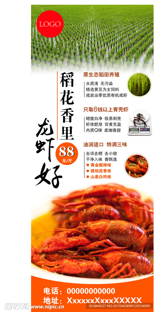 小龍蝦