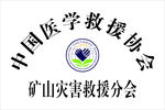 中国医学救援协会