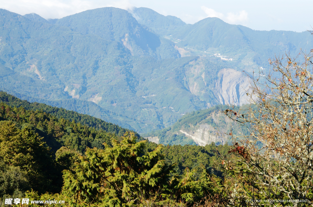 山林