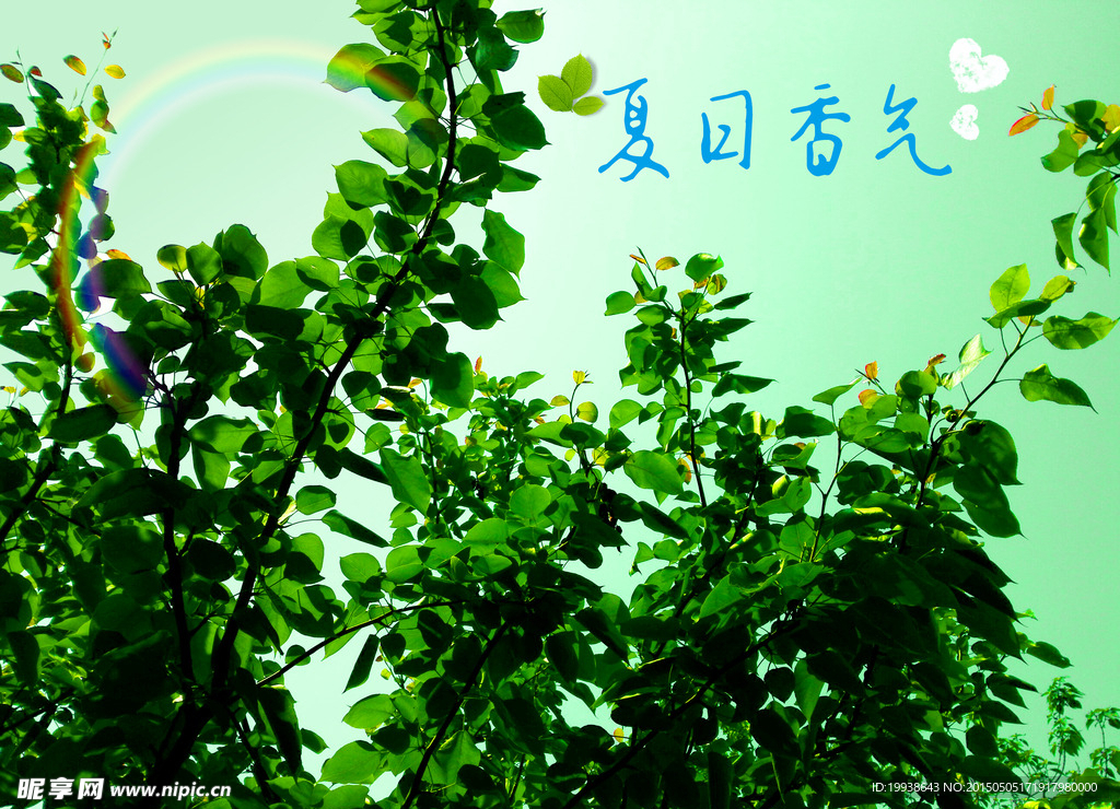 夏日香氣