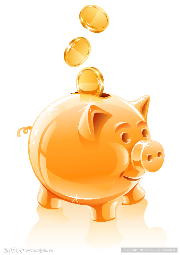 小金豬