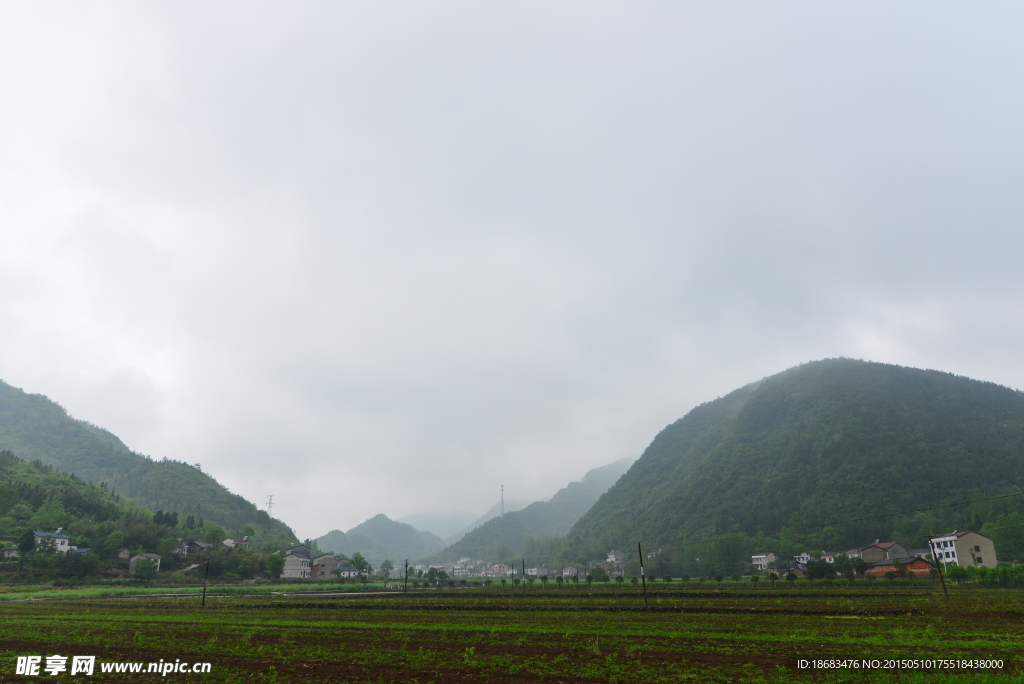 山霧