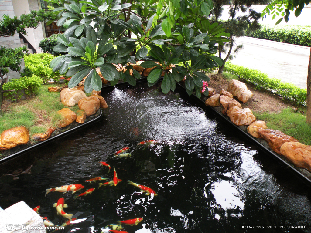 水景園林