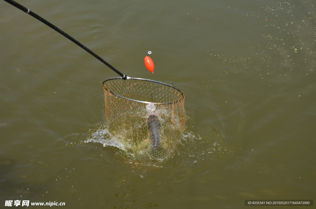 撈魚