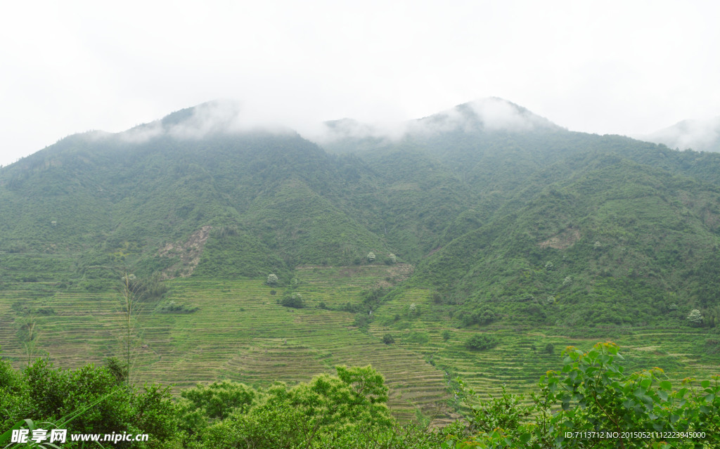 云層中的高山
