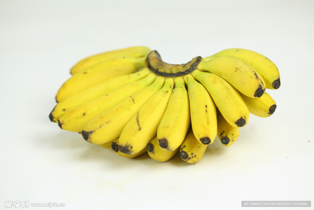 香蕉 金蕉 弓蕉