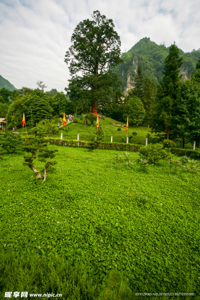 湖北神农架