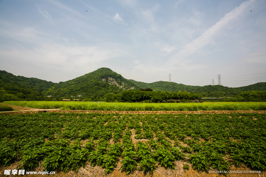 八卦田遺址公園