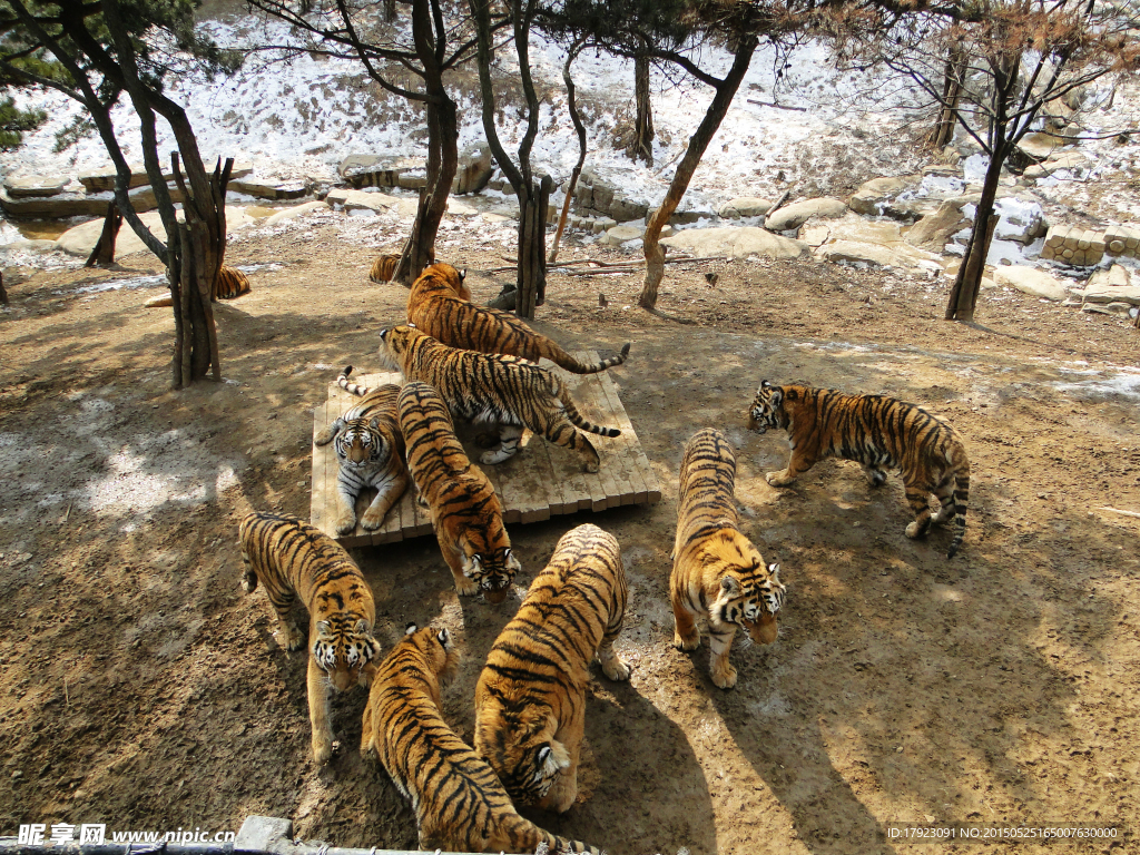 動(dòng)物園