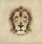 动物头像 狮子