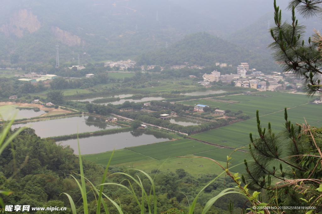 潮州白塔寺上看風景