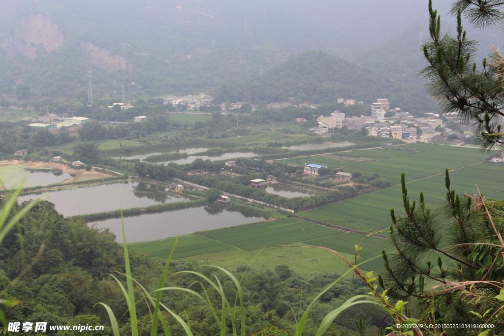 潮州白塔寺上看风景