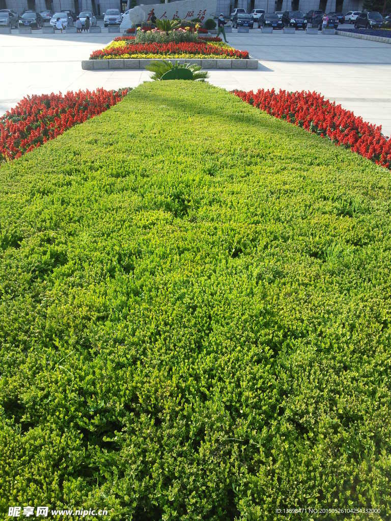 花池