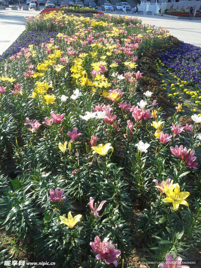 花池