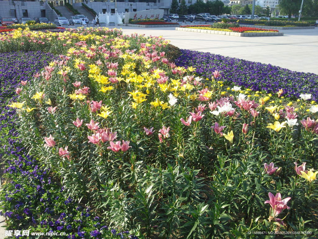 花池