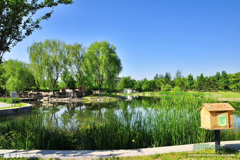 北京望湖公園