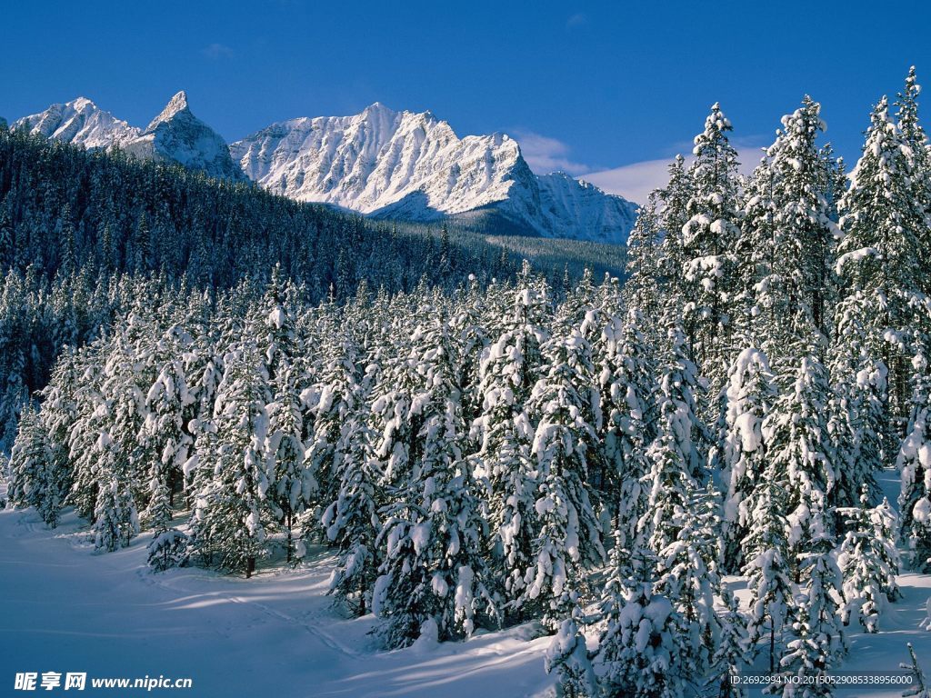 雪山雪景