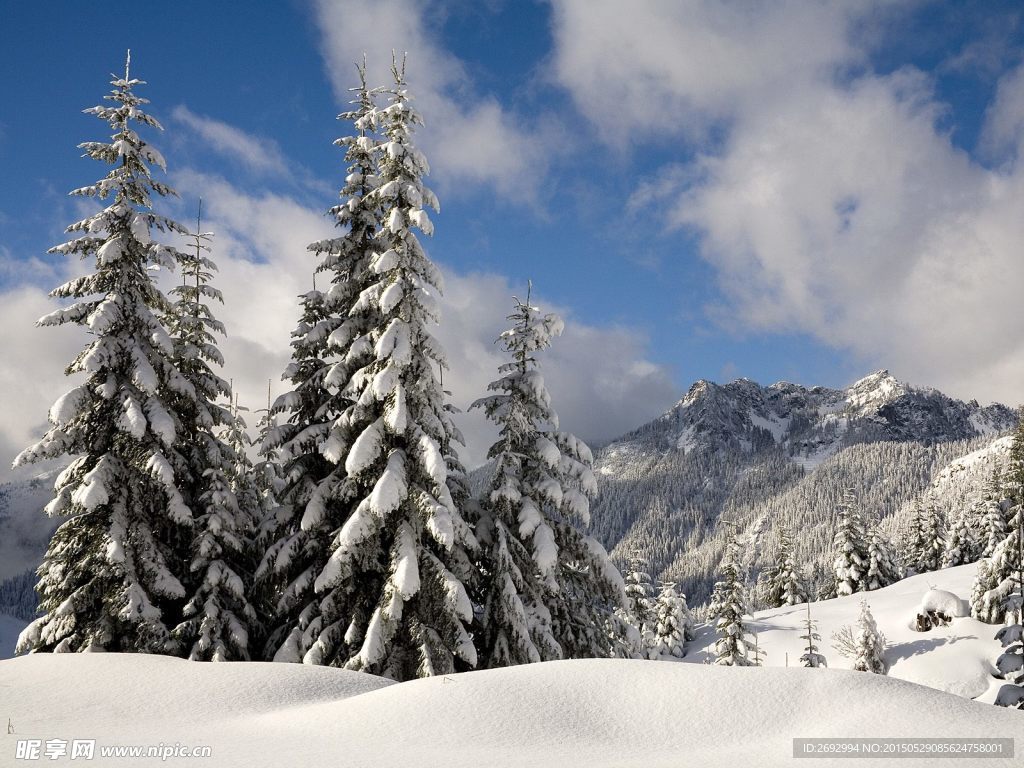 雪山雪景